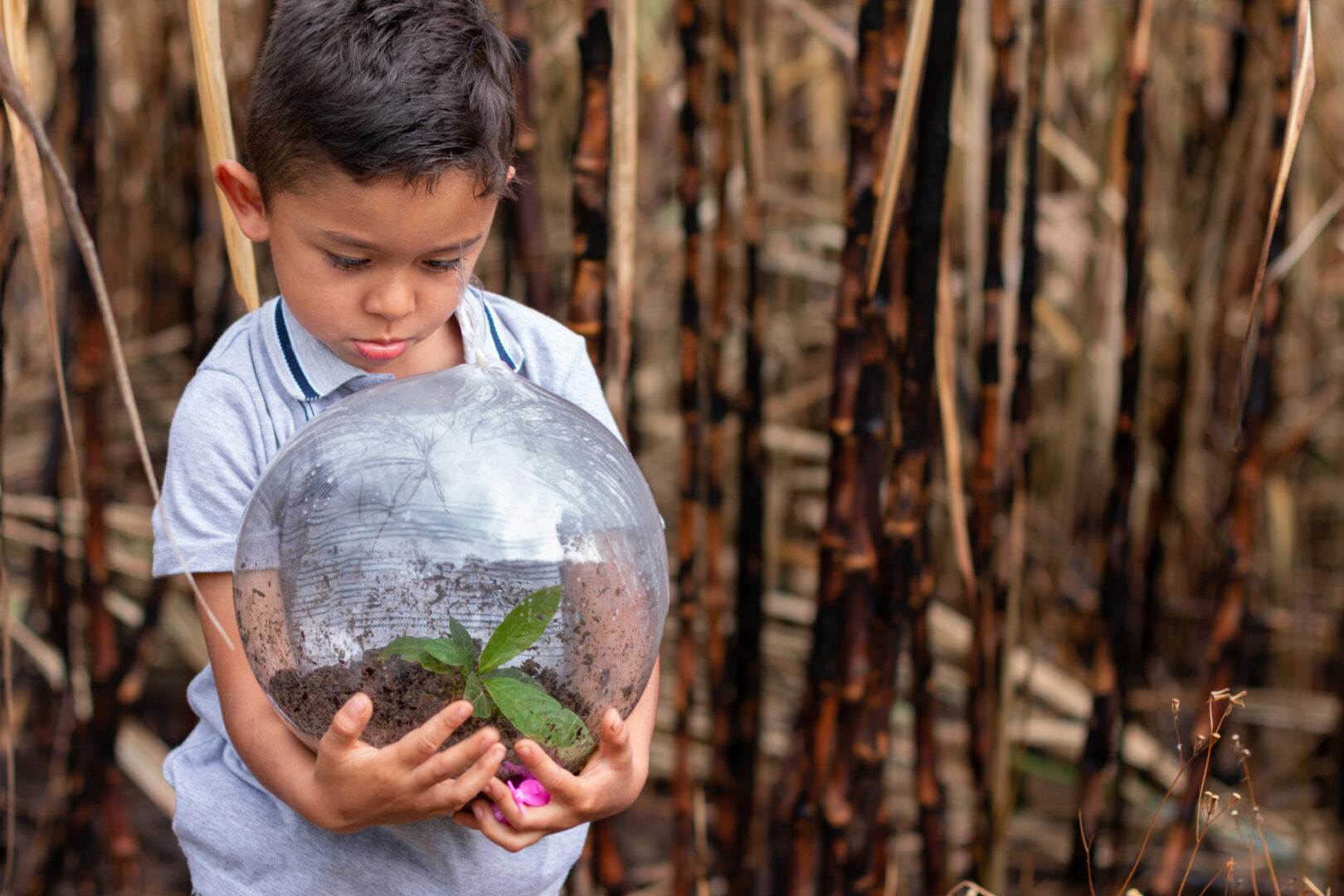 Child in nature